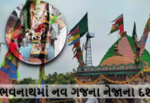 ભાદરવા સુદ અગિયારસે રામદેવપીર મહારાજની જન્મજયંતીની ઉજવણી કરાઇ