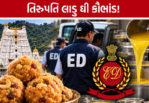 તિરુમલા તિરુપતિ દેવસ્થાનમમાં ઘીમાં કથિત ભેળસેળના કેસમાં સુકૃતિ ફૂડ્સ પ્રાઇવેટ લિમિટેડના પ્રમોટર કૈલાશ ચંદ મંગલાની મની લોન્ડરિંગ કેસમાં ધરપકડ