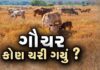 કચ્છના સરહદી વિસ્તારમાં ખેતીના નામે ગૌચર જમીન પર દબાણ, કોઠારા-ભેદીમાં તંત્રએ ૧૫ કબજા હટાવ્યા
