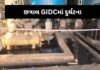 કલોલના છત્રાલ જીઆઇડીસીની ફેક્ટરીમાં બોયલર વેસલ ફાટતા ૪ લોકોના મોત