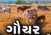 કચ્છના સરહદી વિસ્તારમાં ખેતીના નામે ગૌચર જમીન પર દબાણ, કોઠારા-ભેદીમાં તંત્રએ ૧૫ કબજા હટાવ્યા