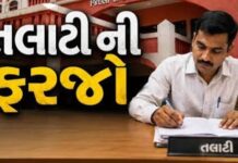 લાઠી તાલુકાના ૧૩ સેજામાં મહેસૂલી તલાટીઓના સ્થળો નક્કી કરાયાં