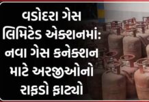 વડોદરામાં પીએનજી ગેસ કનેક્શન માટે ‘મહામારી’; ૬થી ૮ મહિનાનું વેઇટિંગ, હજારો અરજીઓ વચ્ચે લાગી લાંબો કતારો!